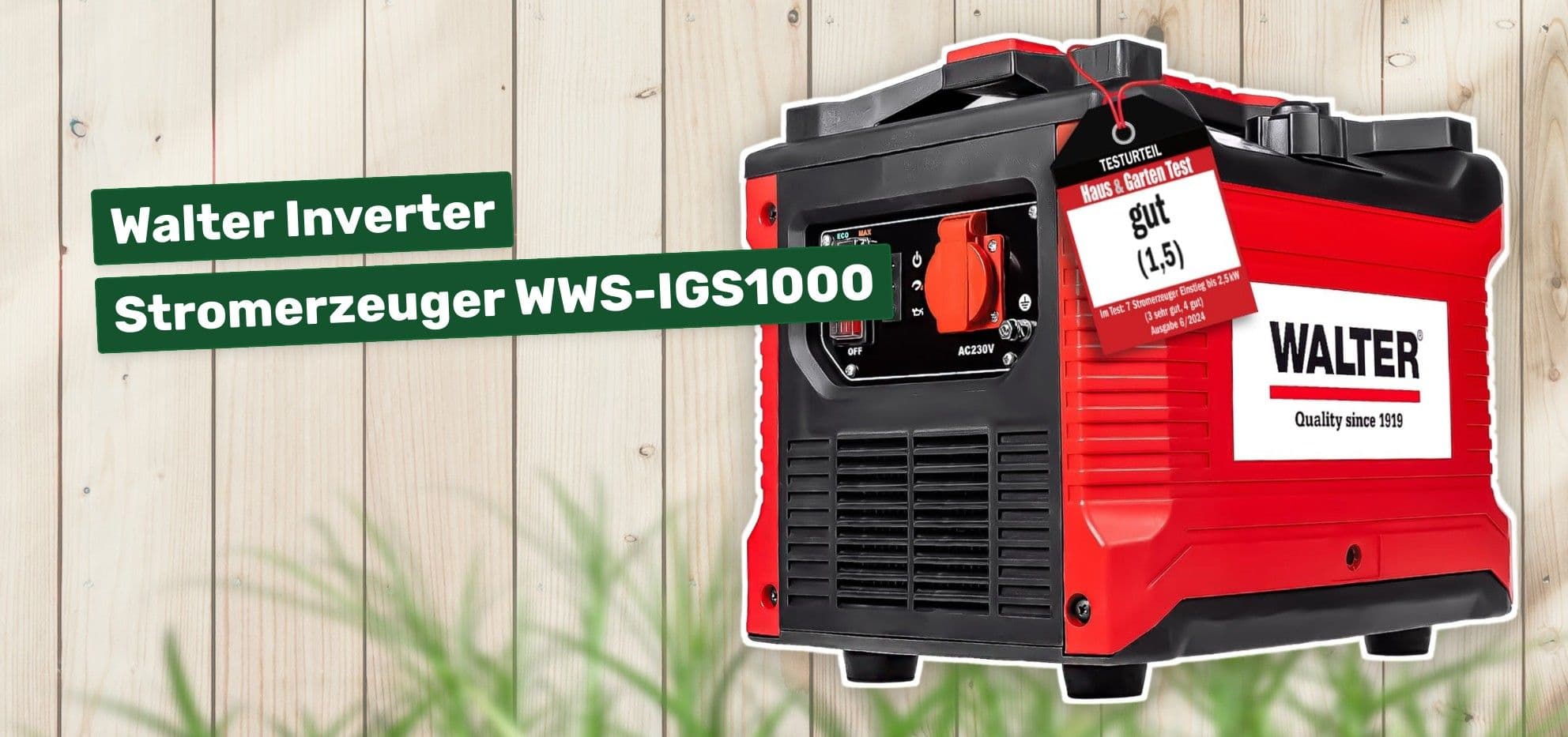 Walter Inverter Stromerzeuger WWS-IGS1000
