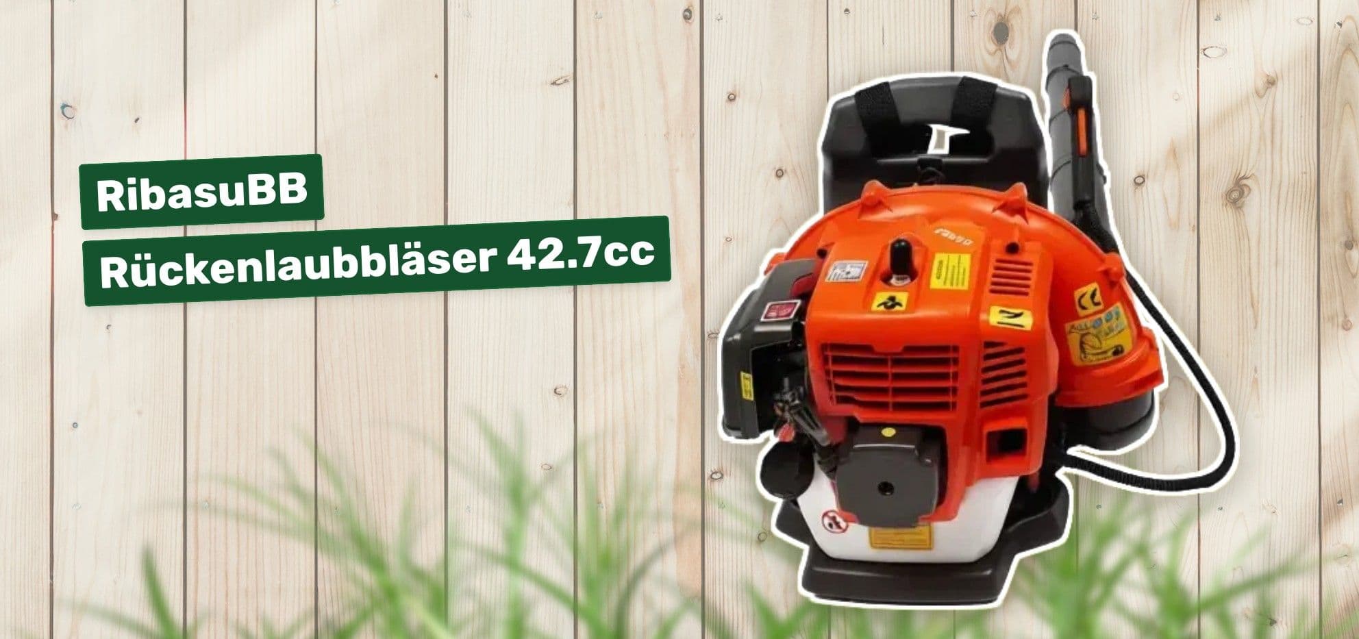 RibasuBB Rückenlaubbläser 42.7cc