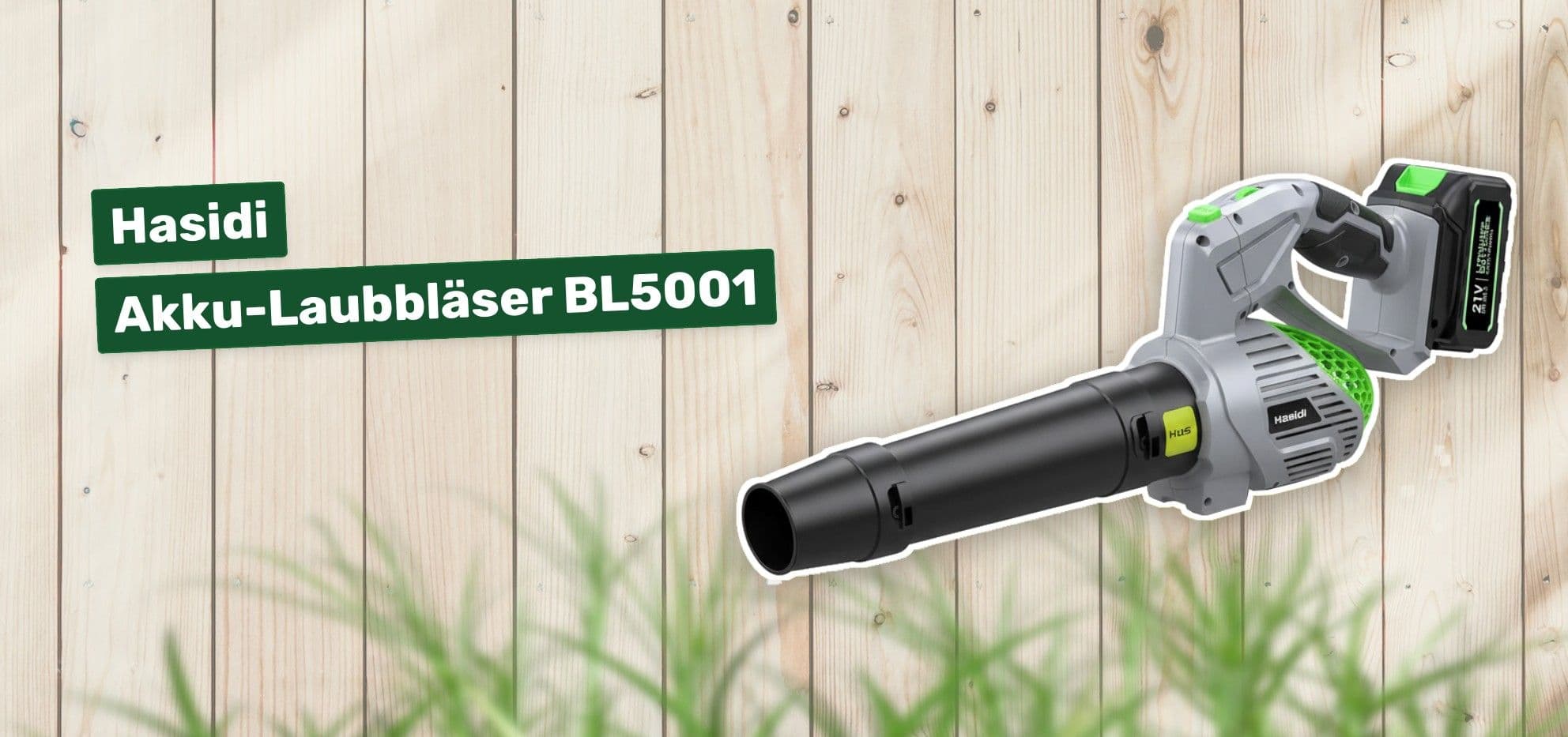 Hasidi Akku-Laubbläser BL5001