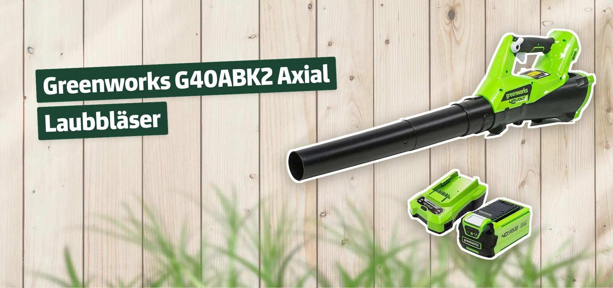 Greenworks G40ABK2 Axial Laubbläser