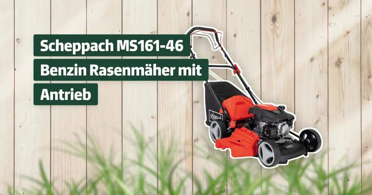 Wunderschne Scheppach Ms161 46 Test Bilder