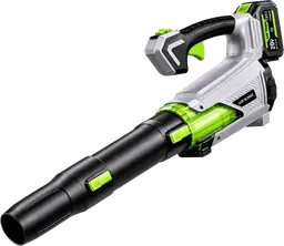Adedad Akku-Laubbläser CFJ150 20V mit 2 Akkus